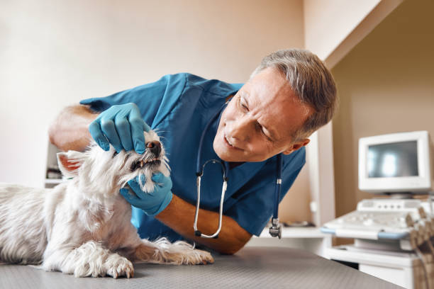 Best 24-Hour Emergency Dentist  in Lehigh Acres, FL